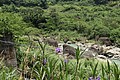 IMG_5605.JPG