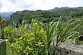 IMG_5608.JPG