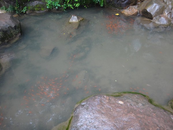 DSC03087.JPG