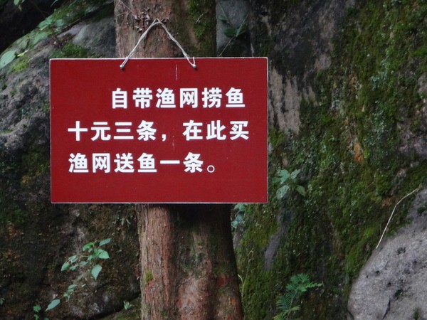 DSC03088.JPG