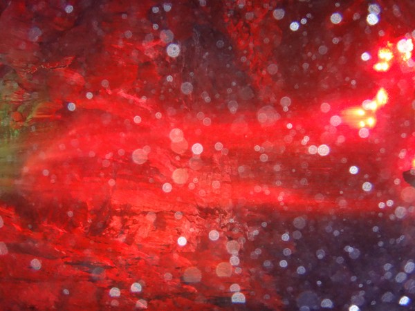 DSC03112.JPG