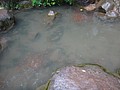 DSC03087.JPG