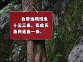 DSC03088.JPG
