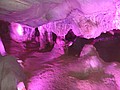 DSC03102.JPG