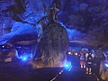 DSC03104.JPG