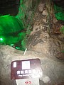 DSC03105.JPG