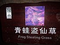 DSC03106.JPG