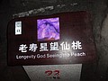 DSC03107.JPG