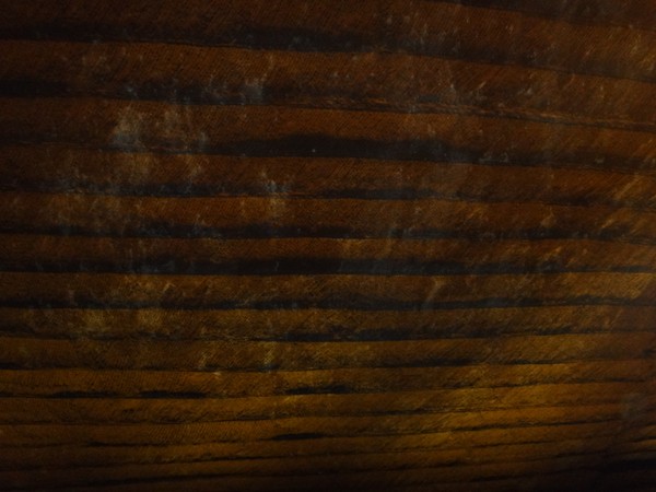 DSC03171.JPG