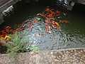 DSC03156.JPG