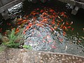 DSC03157.JPG