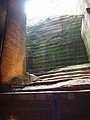 DSC03172.JPG