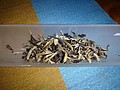DSC03200.JPG