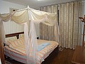 DSC03240.JPG