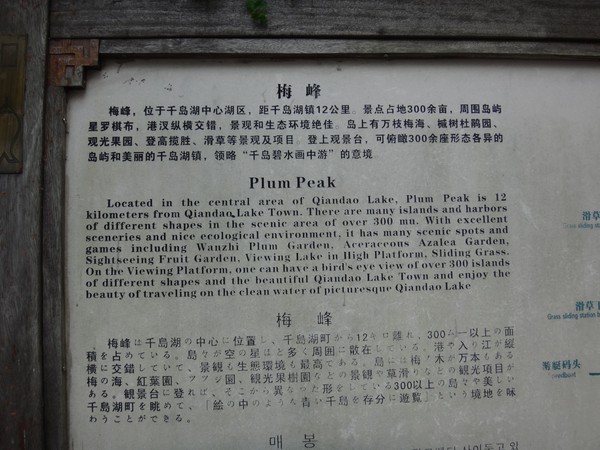 DSC03334.JPG