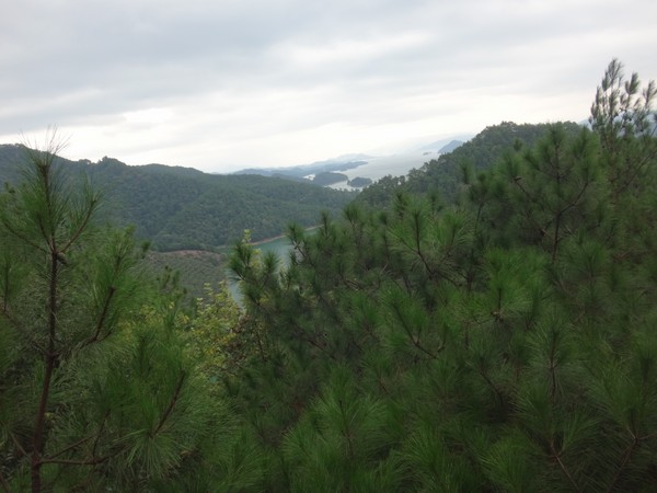 DSC03337.JPG