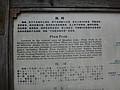 DSC03334.JPG
