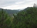 DSC03337.JPG