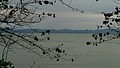 DSC03358-5.jpg