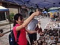 DSC03423.JPG