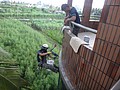 DSC03479.JPG