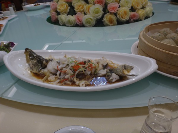 DSC03486.JPG