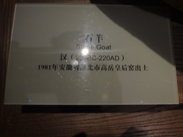DSC03521.JPG