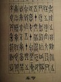 DSC03516.JPG