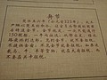DSC03519.JPG