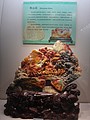 DSC03530.JPG