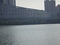 DSC03550.JPG