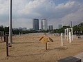 DSC03553.JPG