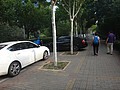 DSC03558.JPG