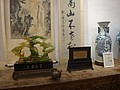 DSC03575.JPG