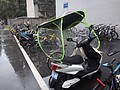 DSC03595.JPG