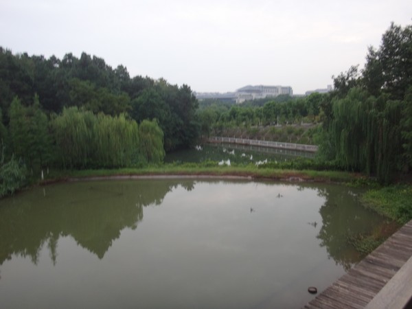 DSC03647.JPG
