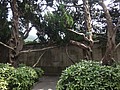 DSC03671.JPG