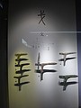 DSC03681.JPG
