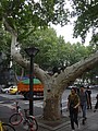 DSC03690.JPG