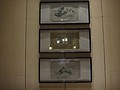 DSC03726.JPG