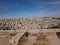 DSC03867.JPG