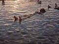 DSC03885.JPG