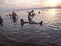 DSC03894.JPG