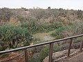 DSC03910.JPG