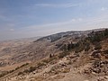 DSC03935.JPG