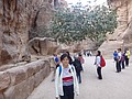 DSC03988.JPG