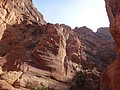 DSC04000.JPG