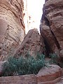 DSC04008.JPG