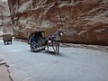 DSC04012.JPG