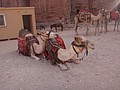 DSC04024.JPG